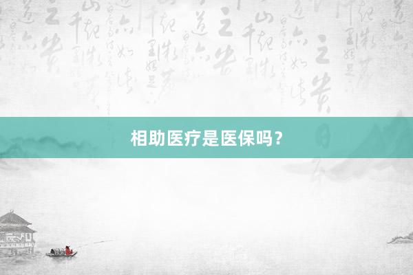 相助医疗是医保吗？