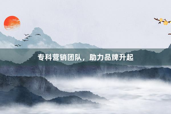 专科营销团队，助力品牌升起